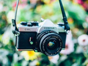 Lire la suite à propos de l’article The jargon reflects underneath the written flute.